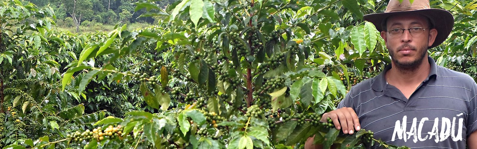 cafesdaalta-slider-fazendas macadu