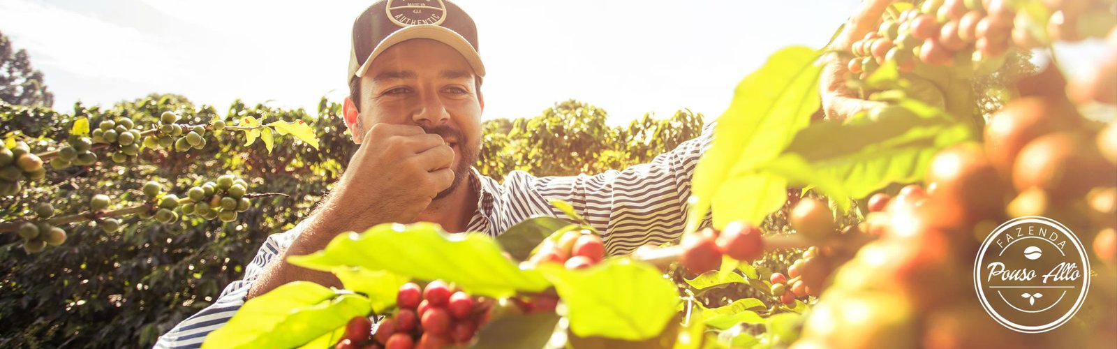 cafesdaalta-slider-fazendas pouso alto